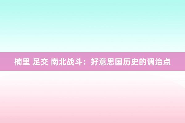 楠里 足交 南北战斗：好意思国历史的调治点