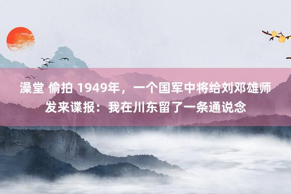 澡堂 偷拍 1949年，一个国军中将给刘邓雄师发来谍报：我在川东留了一条通说念