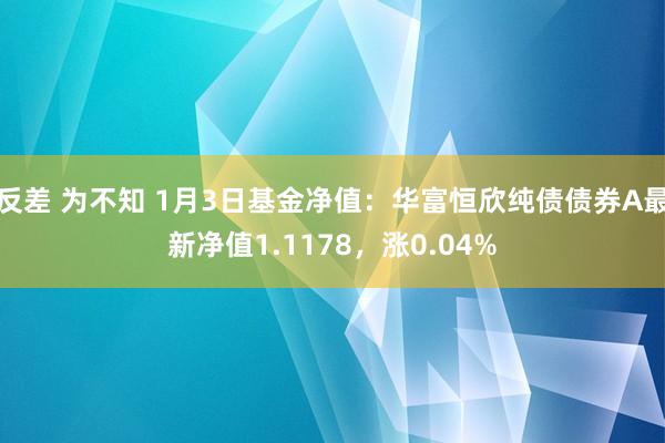 反差 为不知 1月3日基金净值：华富恒欣纯债债券A最新净值1.1178，涨0.04%