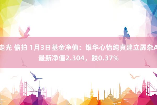 走光 偷拍 1月3日基金净值：银华心怡纯真建立羼杂A最新净值2.304，跌0.37%