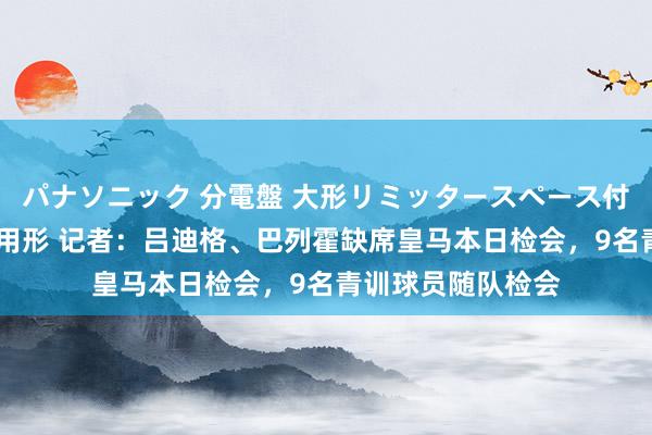 パナソニック 分電盤 大形リミッタースペース付 露出・半埋込両用形 记者：吕迪格、巴列霍缺席皇马本日检会，9名青训球员随队检会