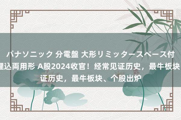 パナソニック 分電盤 大形リミッタースペース付 露出・半埋込両用形 A股2024收官！经常见证历史，最牛板块、个股出炉