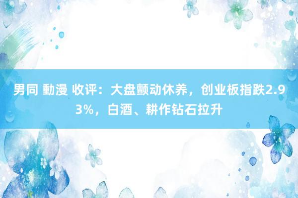 男同 動漫 收评：大盘颤动休养，创业板指跌2.93%，白酒、耕作钻石拉升