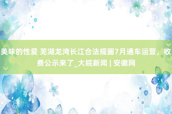 美味的性爱 芜湖龙湾长江合法规画7月通车运营，收费公示来了_大皖新闻 | 安徽网