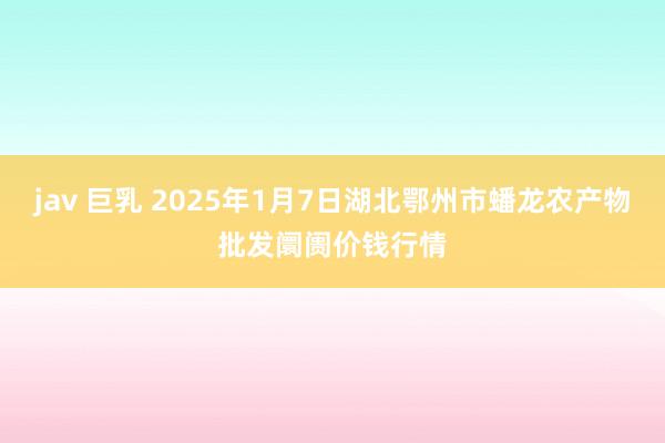 jav 巨乳 2025年1月7日湖北鄂州市蟠龙农产物批发阛阓价钱行情