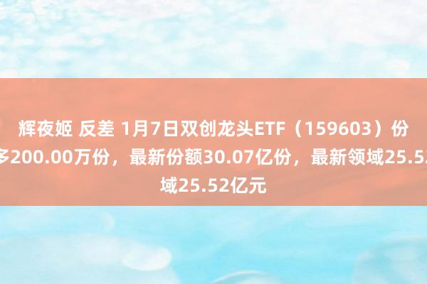 辉夜姬 反差 1月7日双创龙头ETF（159603）份额加多200.00万份，最新份额30.07亿份，最新领域25.52亿元