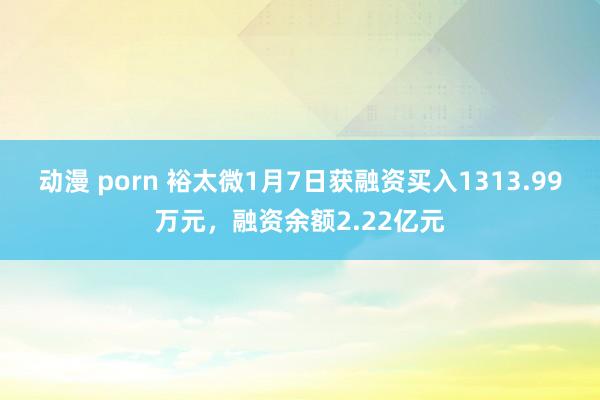 动漫 porn 裕太微1月7日获融资买入1313.99万元，融资余额2.22亿元