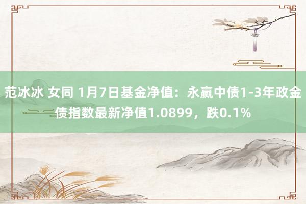 范冰冰 女同 1月7日基金净值：永赢中债1-3年政金债指数最新净值1.0899，跌0.1%