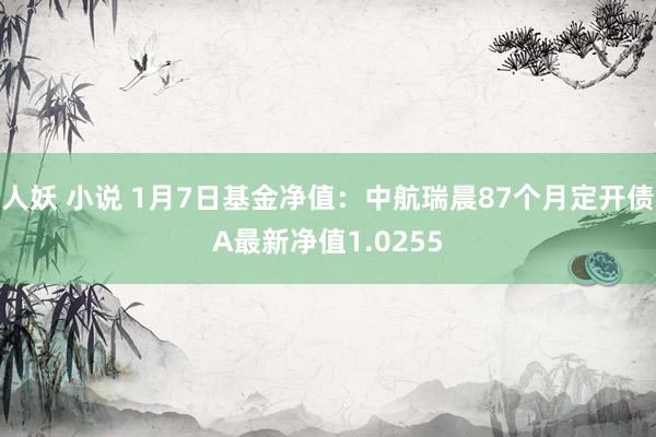 人妖 小说 1月7日基金净值：中航瑞晨87个月定开债A最新净值1.0255