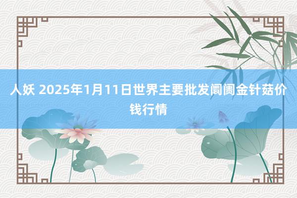 人妖 2025年1月11日世界主要批发阛阓金针菇价钱行情