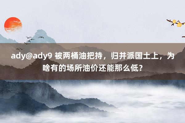 ady@ady9 被两桶油把持，归并派国土上，为啥有的场所油价还能那么低？